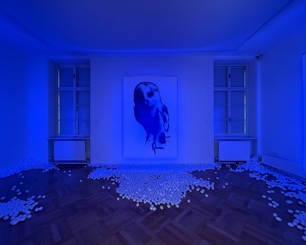 Ausstellungsansicht mit blauer Lichtinstallation, Kohlezeichnung und Plastikeiern in der Ausstellung Vögel von Marx & Mussard im Museumspavillon Salzburg