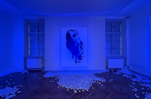 Ausstellungsansicht mit blauer Lichtinstallation, Kohlezeichnung und Plastikeiern in der Ausstellung Vögel von Marx & Mussard im Museumspavillon Salzburg