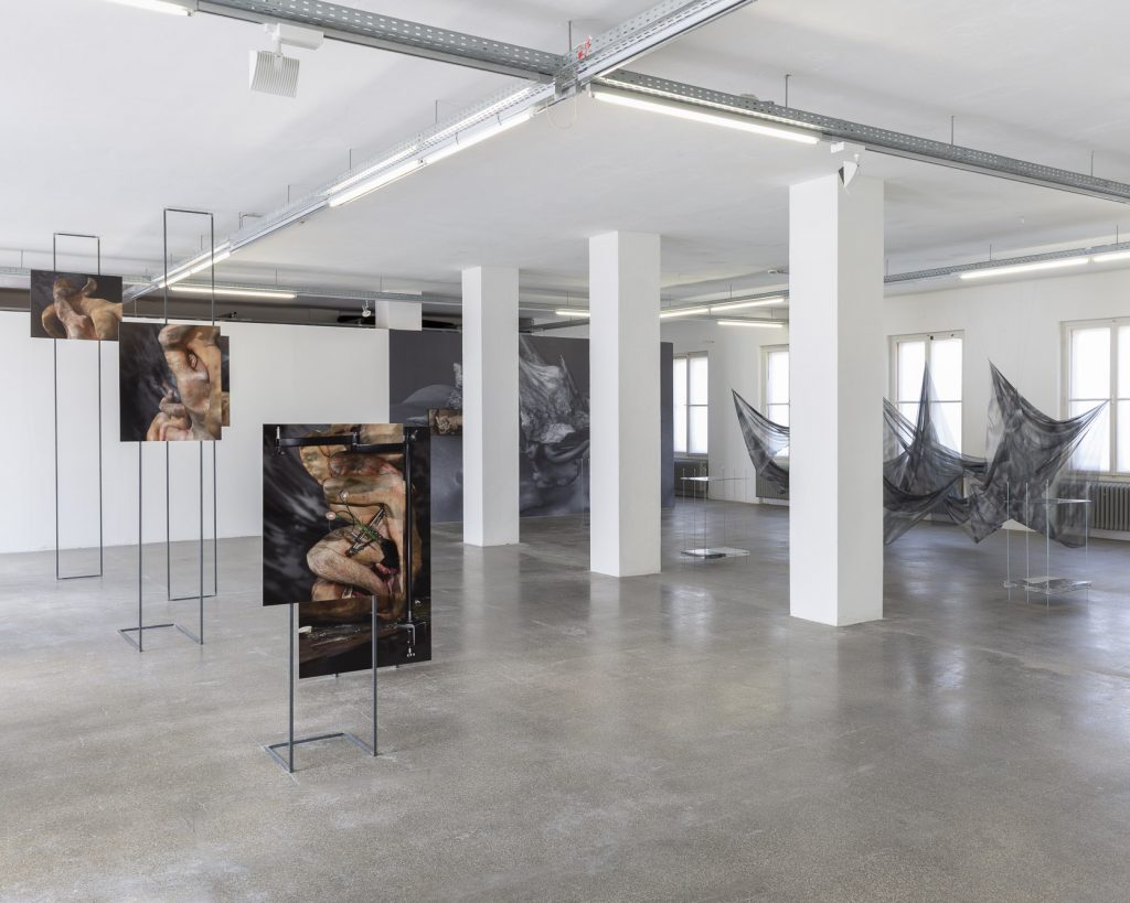 Ausstellungsansicht scapes and bodies in der Galerie 5020 mit Körperfotografien von Mateusz Dworczyk auf Metallständern und Textilobjekten von Lisa Wieder