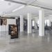 Ausstellungsansicht scapes and bodies in der Galerie 5020 mit Körperfotografien von Mateusz Dworczyk auf Metallständern und Textilobjekten von Lisa Wieder
