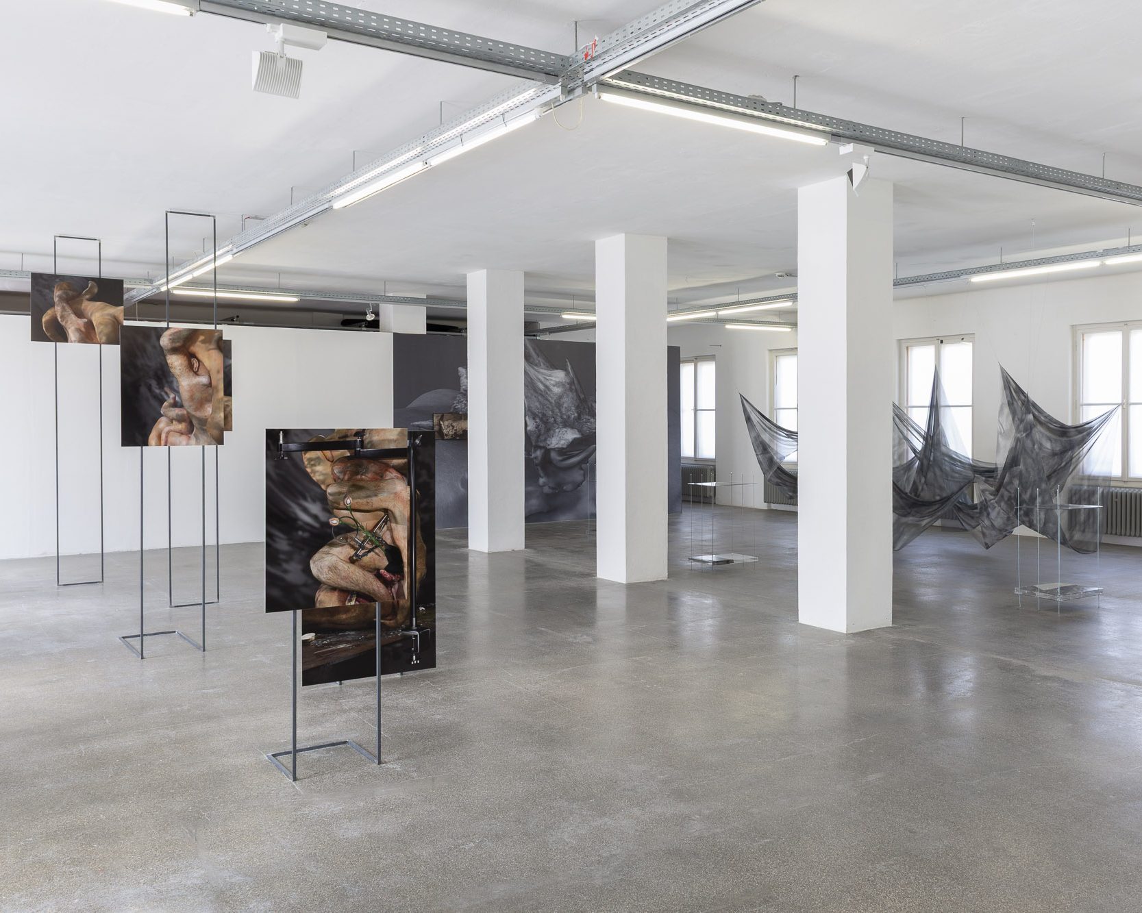 Ausstellungsansicht scapes and bodies in der Galerie 5020 mit Körperfotografien von Mateusz Dworczyk auf Metallständern und Textilobjekten von Lisa Wieder