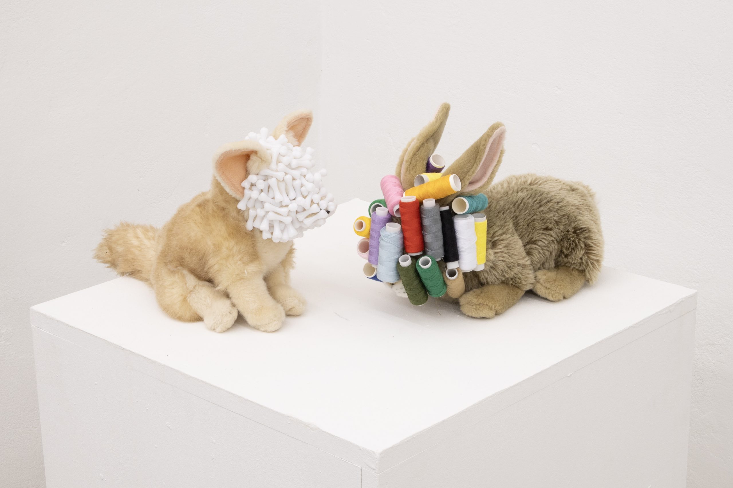 Shahan Assadourian: Fennec fox with bones, Bunny with
spools (2026), Ansicht City Galerie, curated by Gaylords