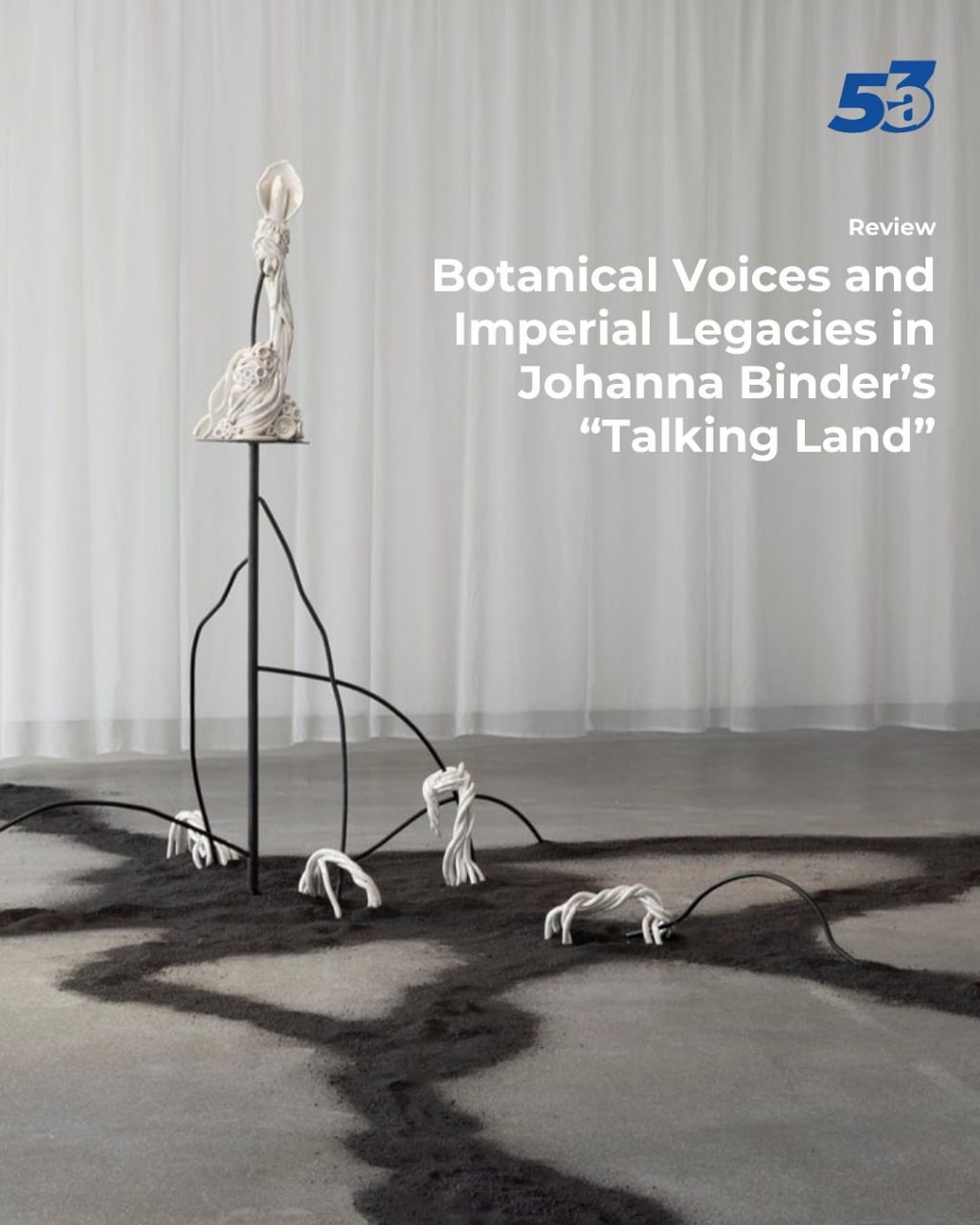 Instagram post from magazin53a. This post is in position 11.